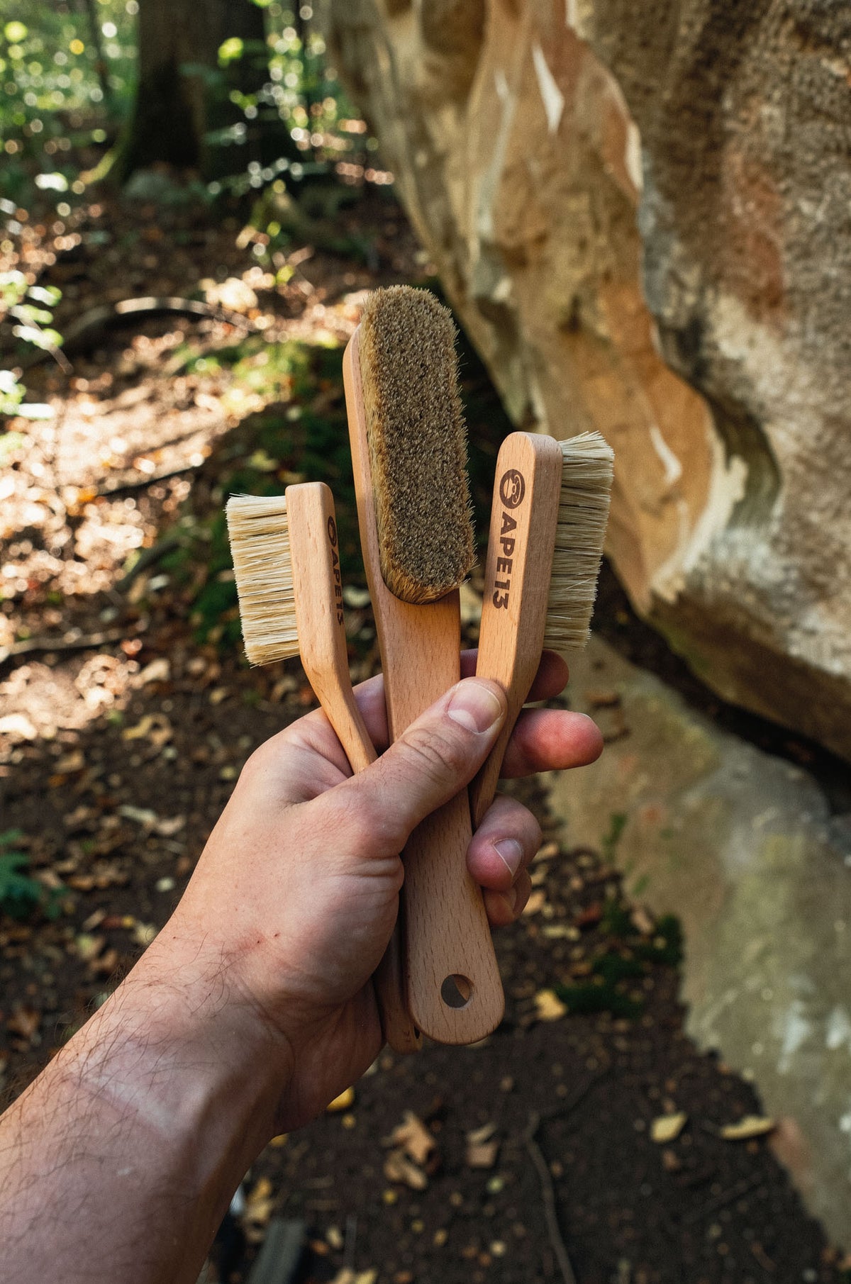 Climbing Brush Set – 3 Sizes